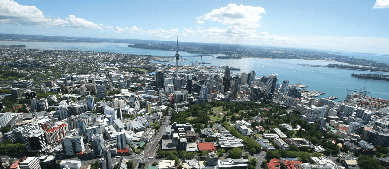 Auckland Future Fund Logo